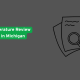 Custom Literature Review Services in Michigan